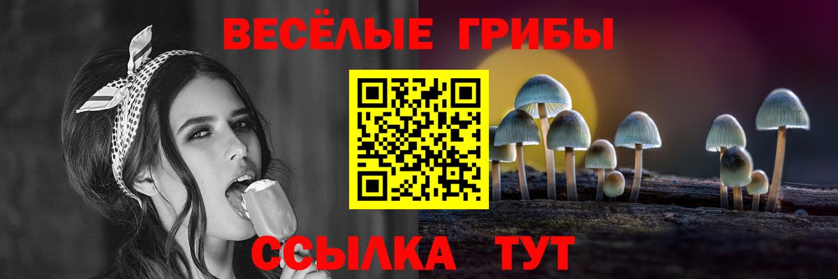 Галлюциногенные грибы Psilocybine cubensis Дальнереченск